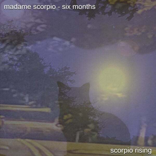 Cover art for Madame Scorpio - Six Months